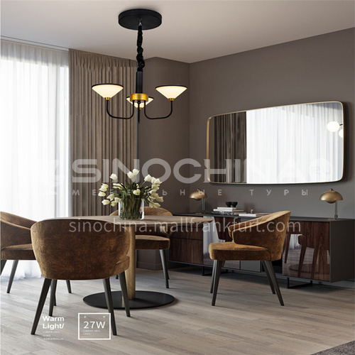 Modern and simple lighting, creative personality, living room dining room chandelier-NVC-BXDK1824